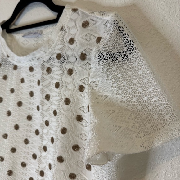 Zara Trafaluc lace white Knit gold polka dots Top Short Sleeves Size Medium - Picture 2 of 6